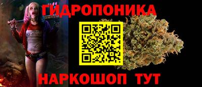 мдпв Пугачёв
