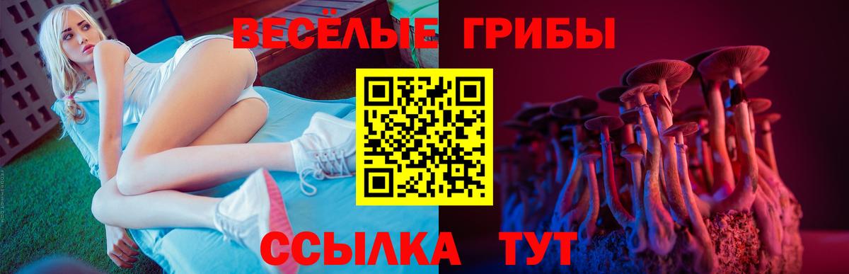 Псилоцибиновые грибы Psilocybine cubensis  Галлюциногенные грибы Psilocybine cubensis  Северобайкальск  Вход с VPN 